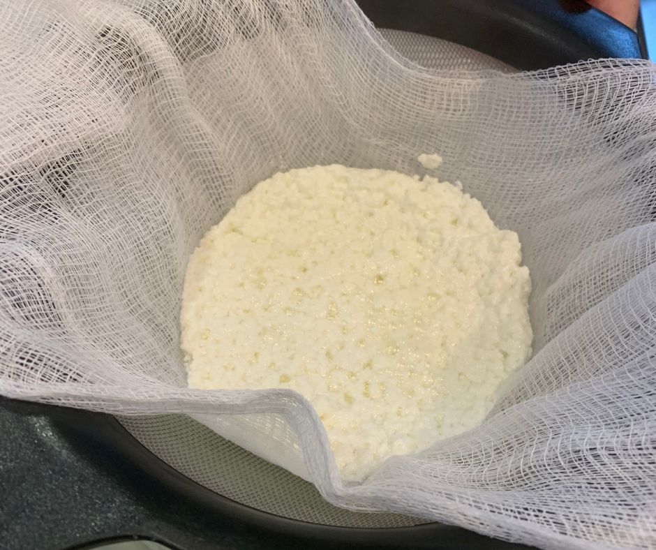 How can we learn chemistry from cheese?