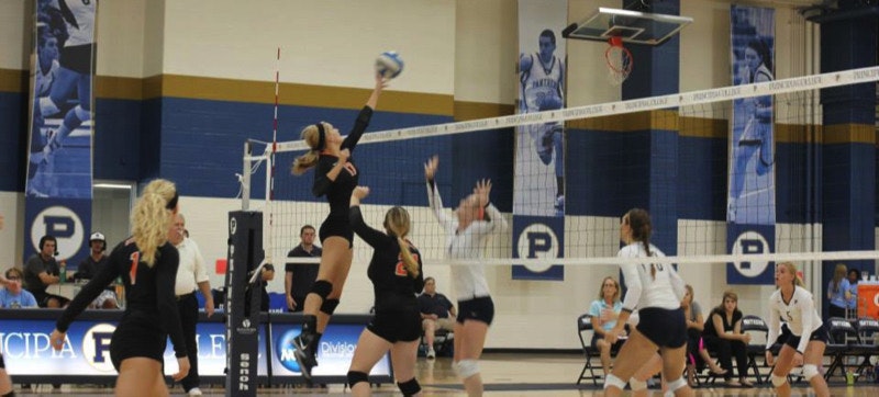 volleyball-earns-3-0-sweep-against-principia