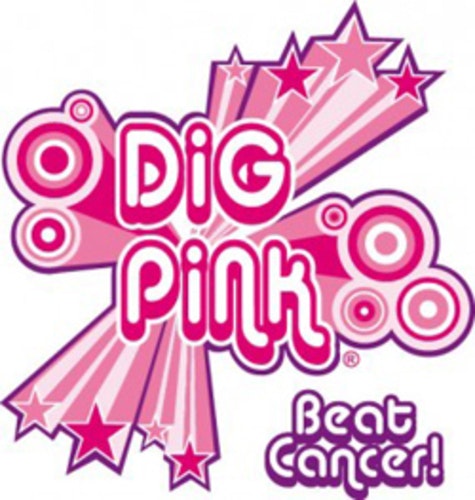 gc-volleyball-hosts-third-annual-dig-pink-rally
