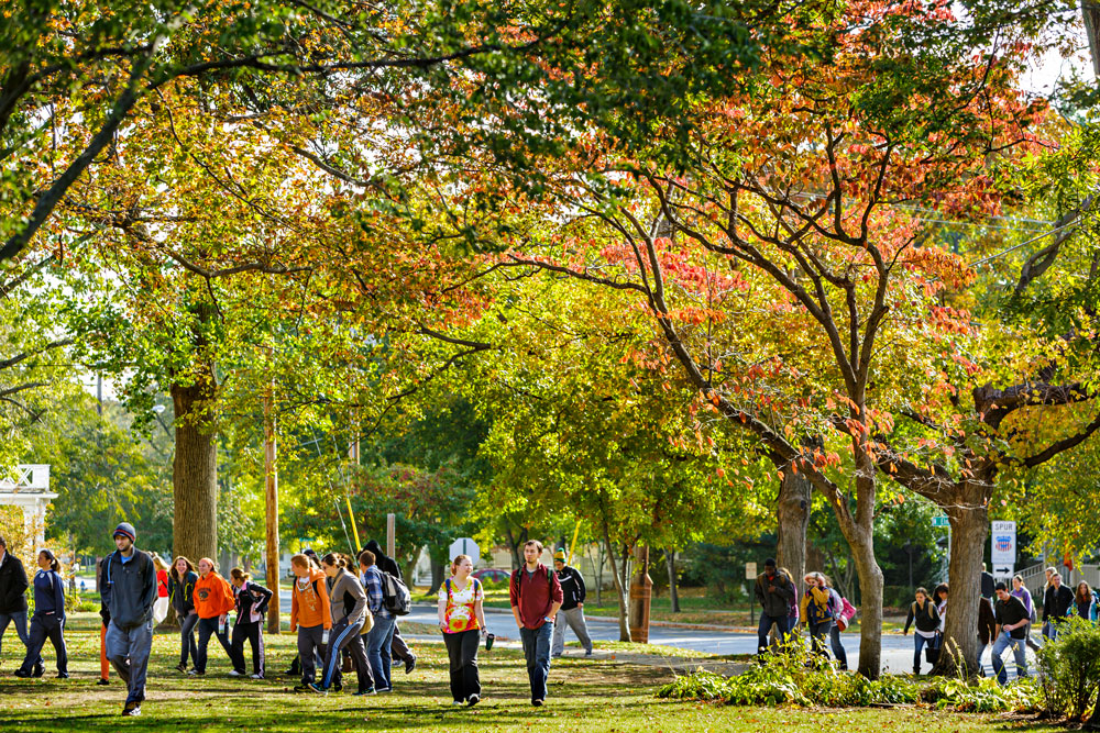 Greenville College Honors Alumni at 2015 Homecoming