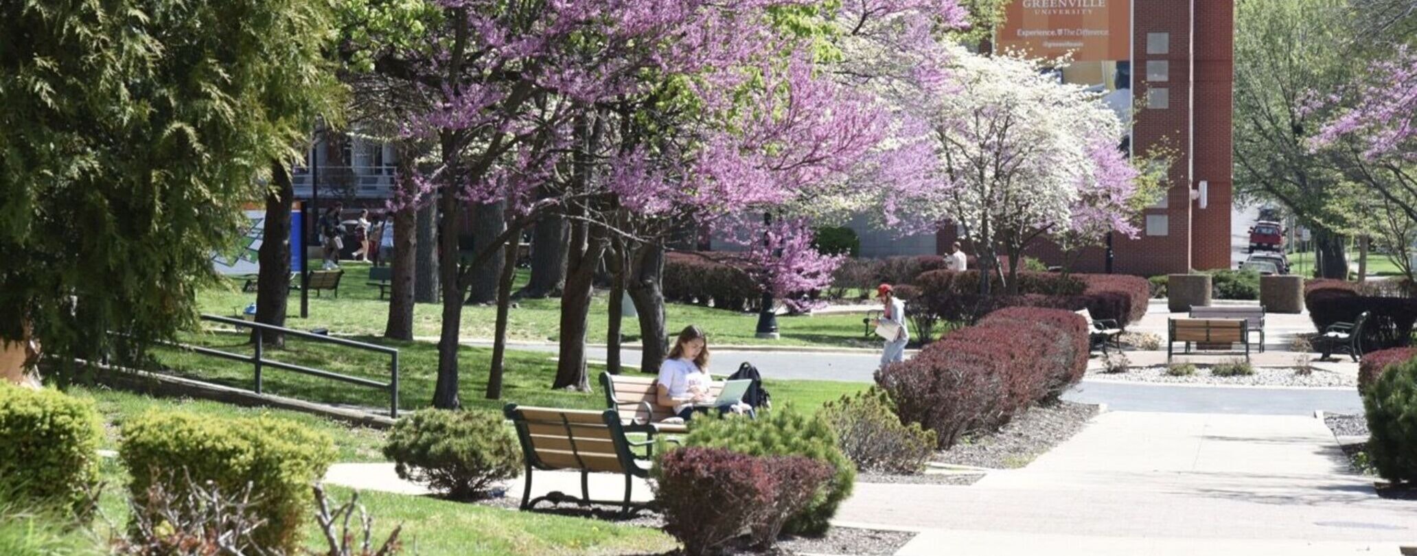 Student studying on a bench3