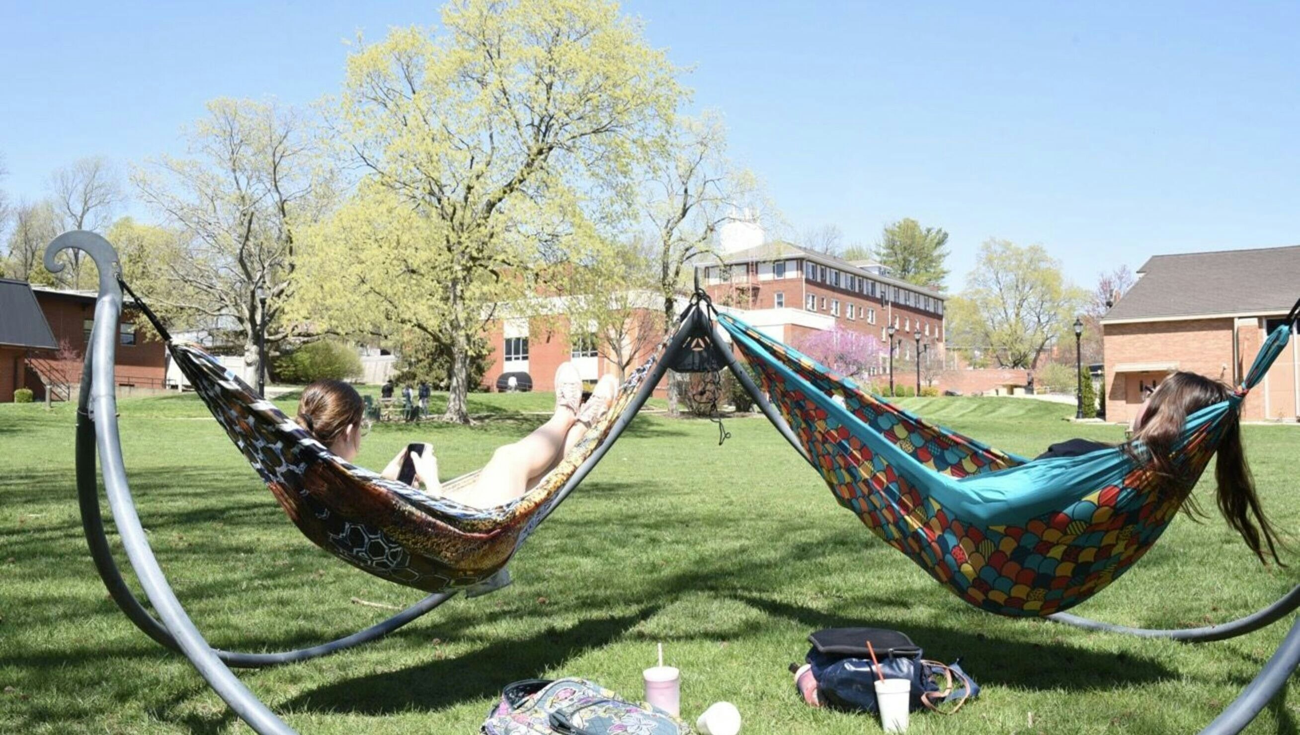 Students relaxing in hammocks outdoors2